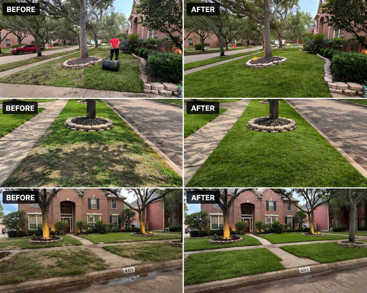 Lawn & Sod Restoration before and after